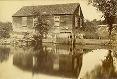 Toad Mill