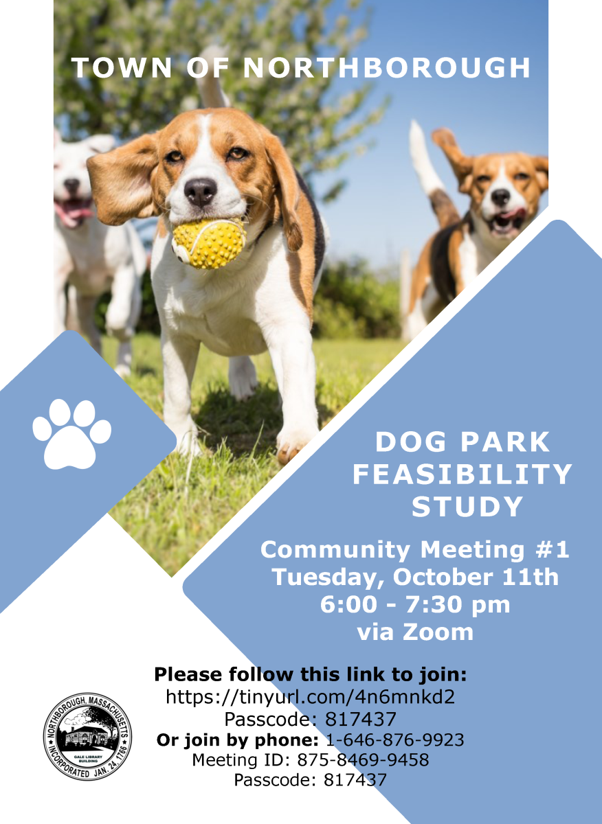 dog park feasibility study flyer for october 11, 2022 meeting