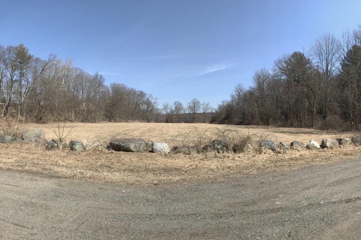 Future site of the dog park, current field at Yellick Conservation Area on Hudson Street.