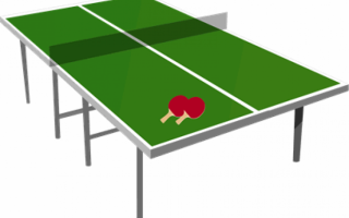 Pin Pong Table and Paddle